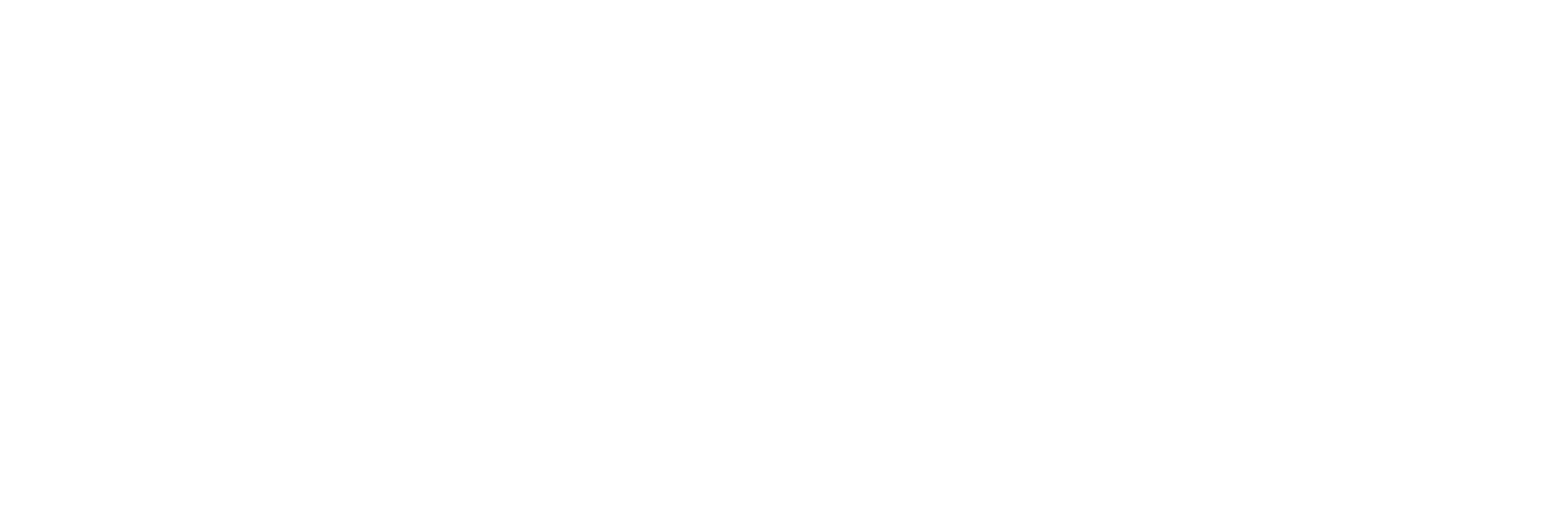 zingiez energize
